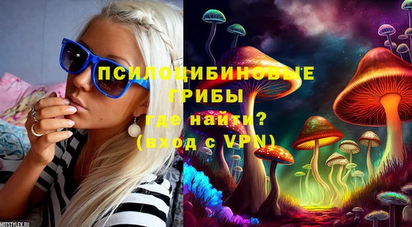 гашик Лиски